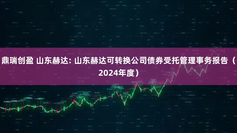 鼎瑞创盈 山东赫达: 山东赫达可转换公司债券受托管理事务报告（2024年度）